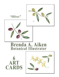 Olives Card