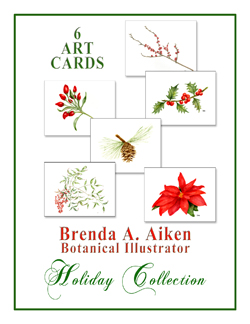 Holiday Collection Cards
